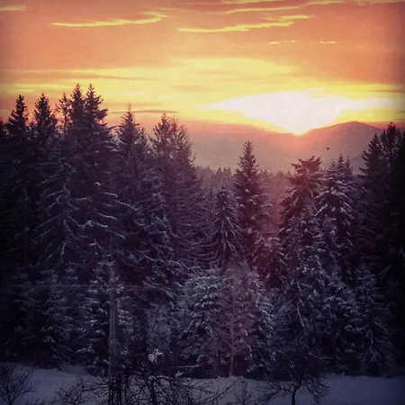Kwatera Pod Lasem Istebna