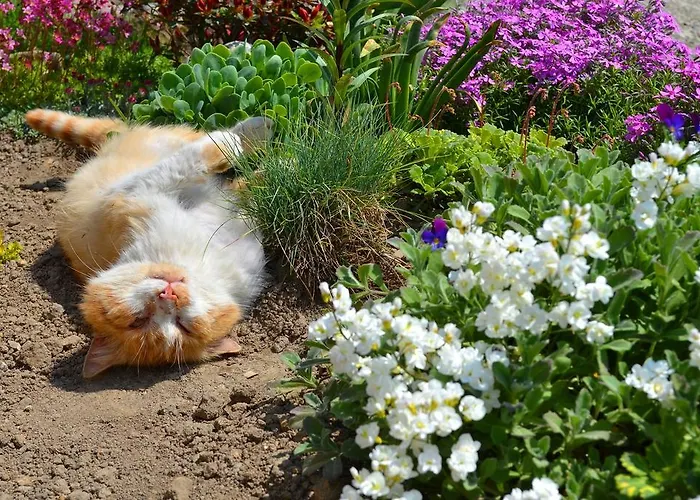 בית אירוח Kwatera Pod Lasem איסטבנה