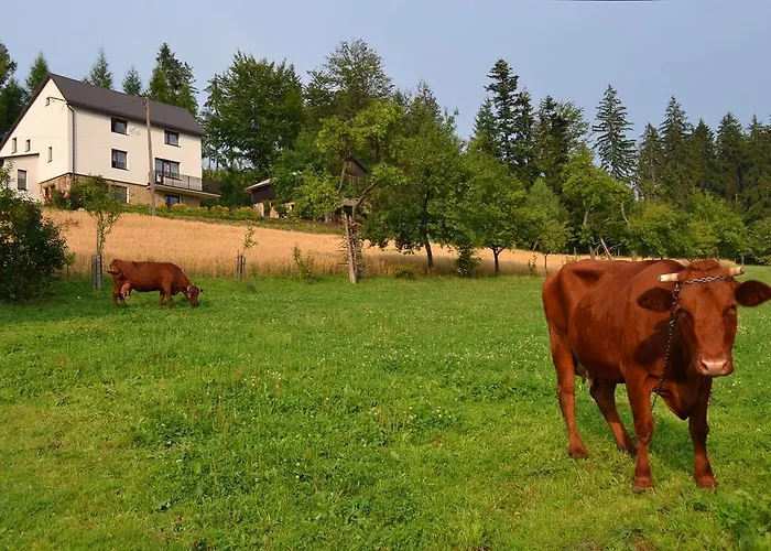 Kwatera Pod Lasem * Istebna