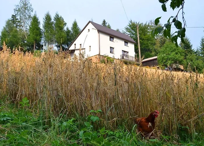 Kwatera Pod Lasem Homestay szállás Istebna