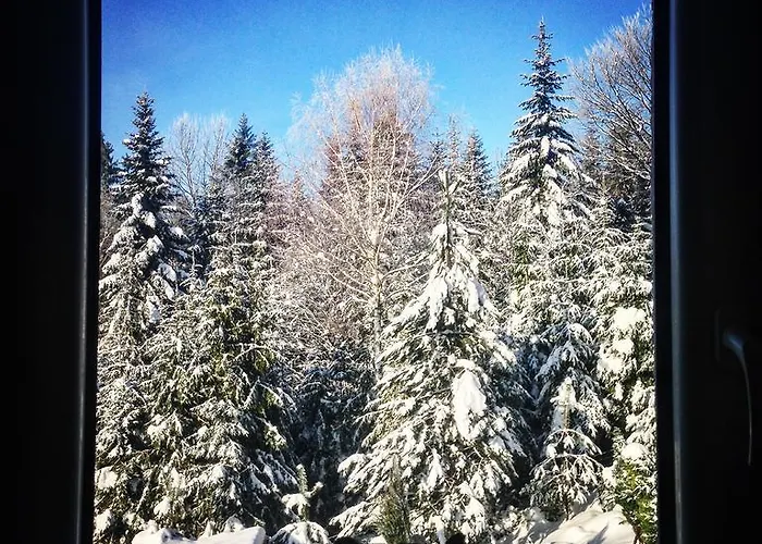 Kwatera Pod Lasem * Istebna