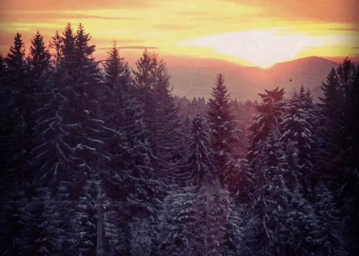 Kwatera Pod Lasem איסטבנה