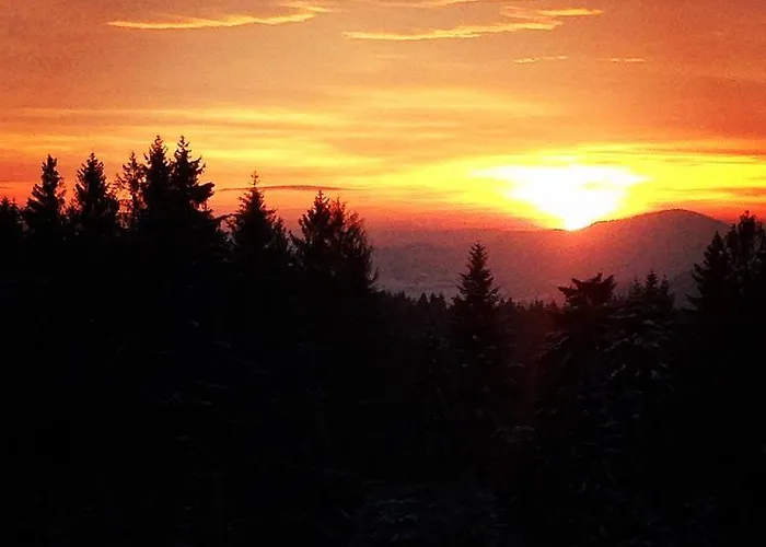 Kwatera Pod Lasem Homestay szállás