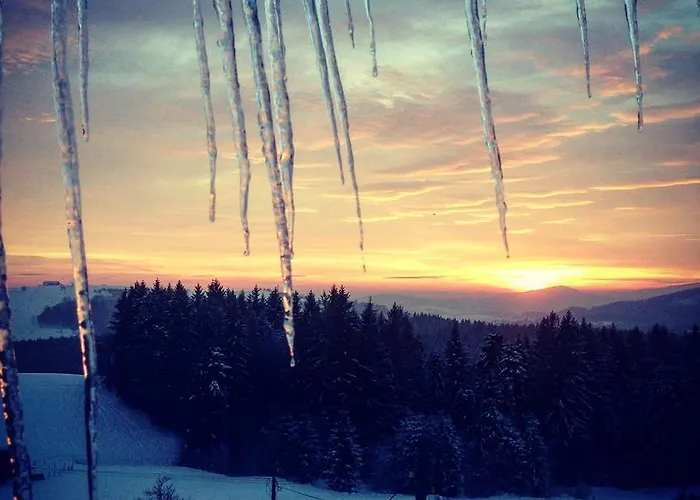 בית אירוח Kwatera Pod Lasem *